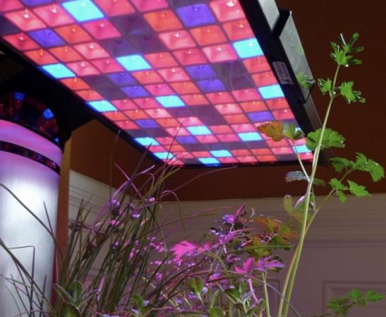 شرکت تولید چراغ خورشیدی گلخانه